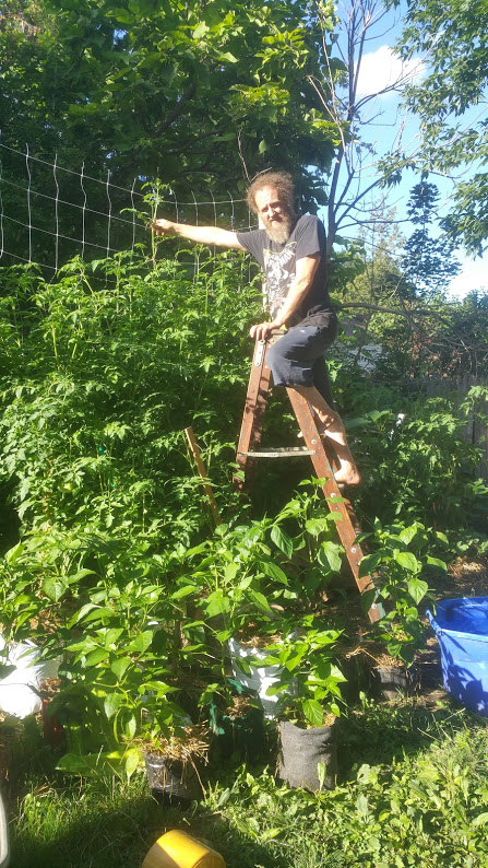 Earthman stands on his sturdy ladder, tending to his thriving garden where giant sunflowers are just beginning to sprout. The rich green of the plants and trees surrounds him, with a sliver of bright blue sky peeking through the canopy above. The soil beneath his feet teems with life, embodying the essence of EarthMan’s Living Soil, nurturing every inch of growth in this harmonious, vibrant space.